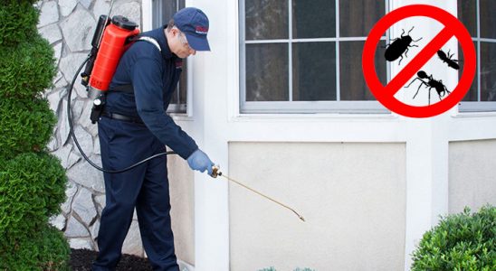 Aydıntepe Gümüşkurt İlaçlama böcek ilaçlama ve haşere kontrolü — ilaclama-tr.com